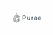 Purae Logo Option 1